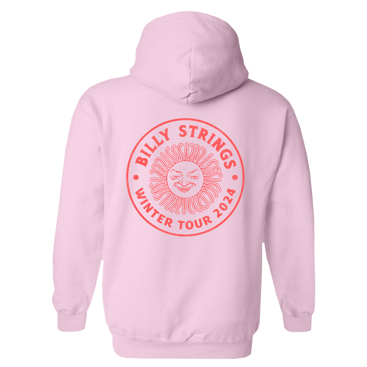 Pink tour deals hoodie