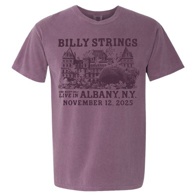 Albany, NY (Oxford Pennant)