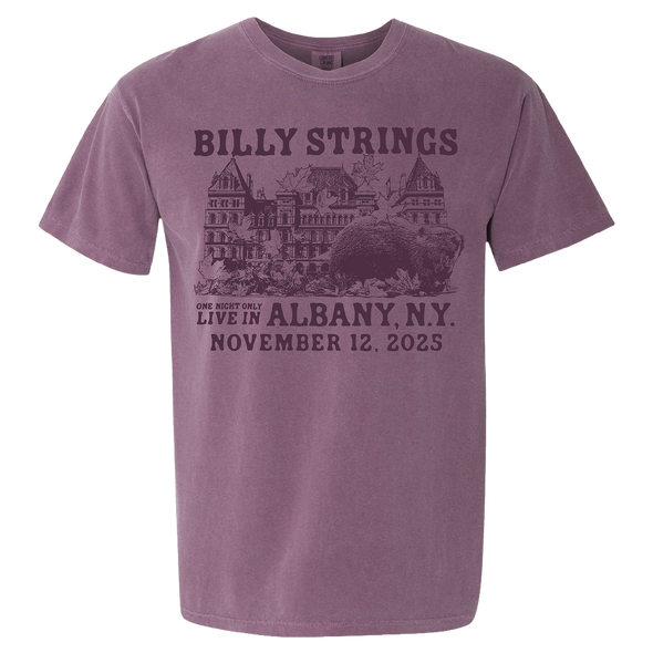 Albany, NY (Oxford Pennant)