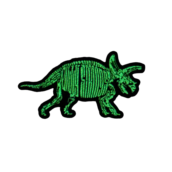 Pin: Glow in the Dark Fossil (Dannnprints)