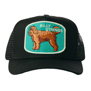 Black Bear Patch Mesh Hat (imogene + willie)