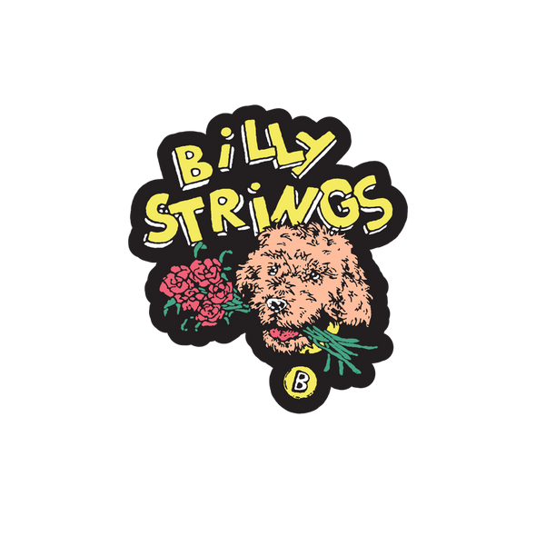 PIN: Glitter Black & Gold Bear (Strange Vitamins)